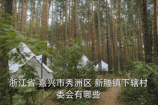 嘉兴新塍学区房,嘉兴北师大学区房有哪些