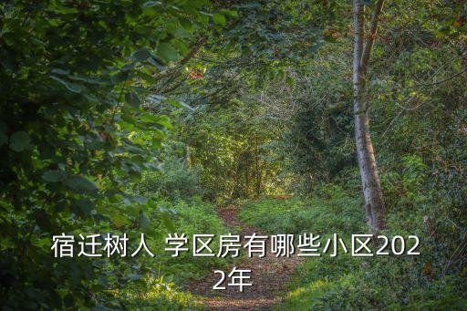  宿迁树人 学区房有哪些小区2022年