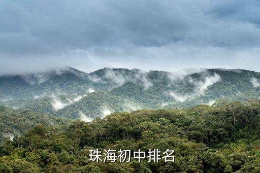 珠海 金湾区学区房,珠海学区房排名