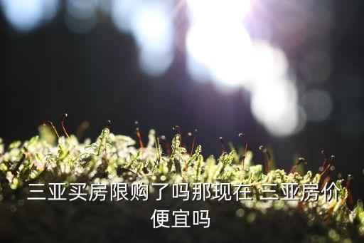 三亚学区房有哪些,三亚人大附中学区房