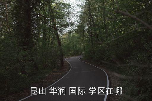 昆山 华润 国际 学区在哪