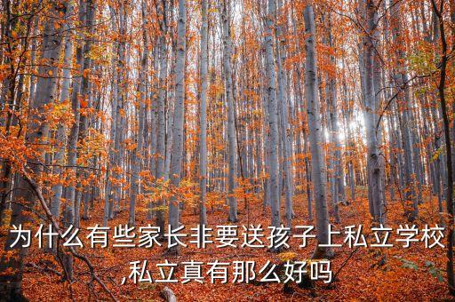 为什么有些家长非要送孩子上私立学校,私立真有那么好吗