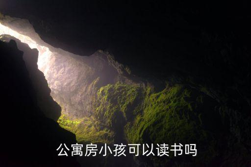  公寓房小孩可以读书吗