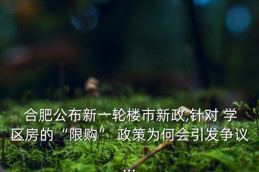  合肥公布新一轮楼市新政,针对 学区房的“限购” 政策为何会引发争议...