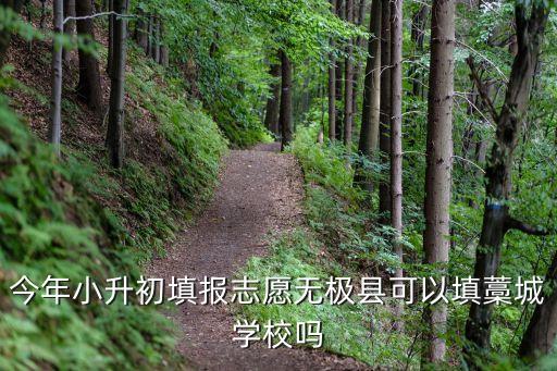 今年小升初填报志愿无极县可以填藁城学校吗
