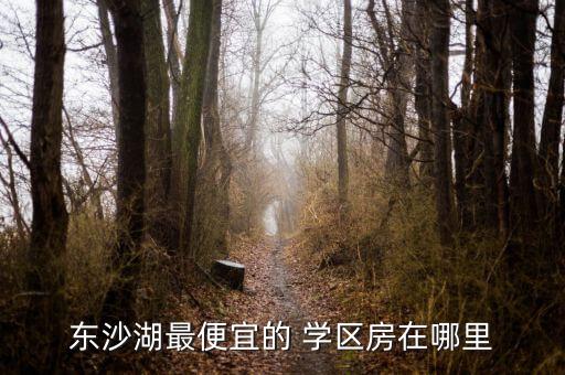 东沙湖最便宜的 学区房在哪里