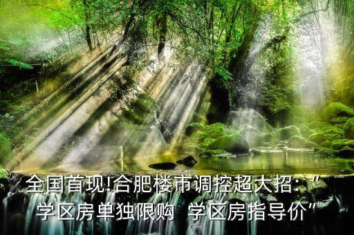 全国首现!合肥楼市调控超大招:“ 学区房单独限购  学区房指导价”