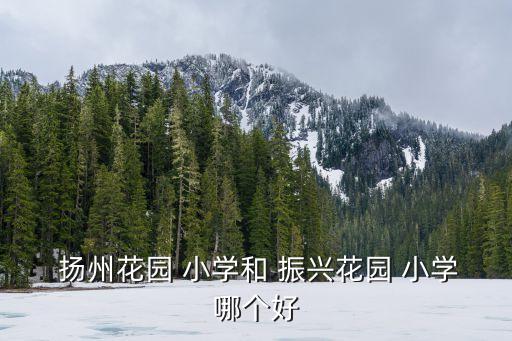 扬州振兴小学学区房,扬州小学学区房划分2022