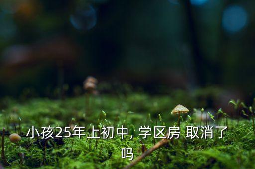 厦门取消学区房,厦门小面积学区房不能读书