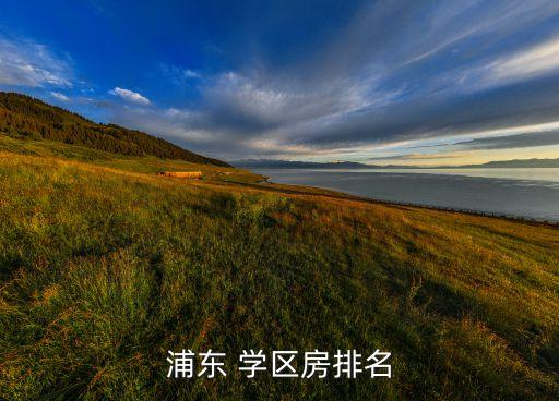 浦东 学区房排名