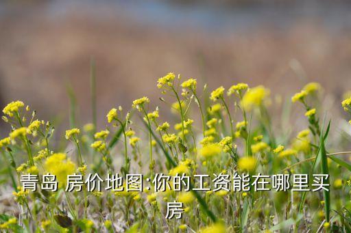 青岛 房价地图:你的工资能在哪里买房