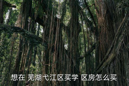想在 芜湖弋江区买学 区房怎么买