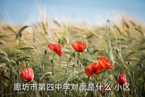廊坊市第四中学对面是什么 小区