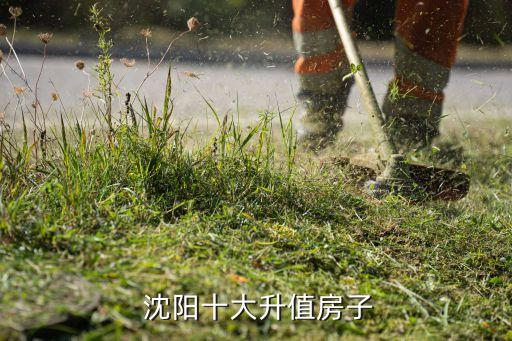 沈阳性价比高的学区房,济南哪里的学区房性价比高