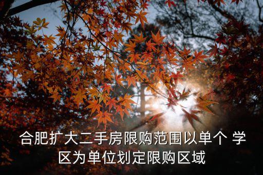 合肥房产网学区房,房天下合肥房产网