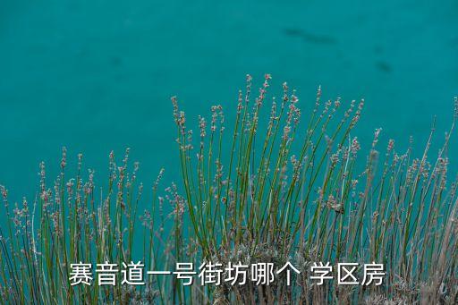 赛音道一号街坊哪个 学区房