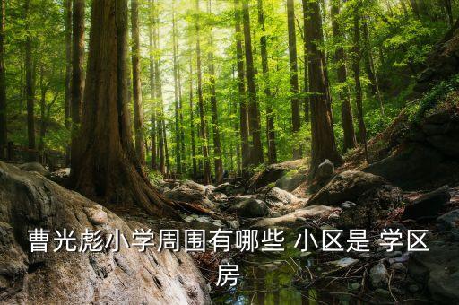 浦江学区房小区,浦江荣建臻园学区房是真的吗