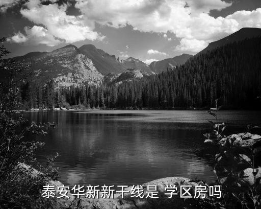  泰安华新新干线是 学区房吗