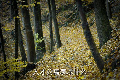 人才公寓表示什么