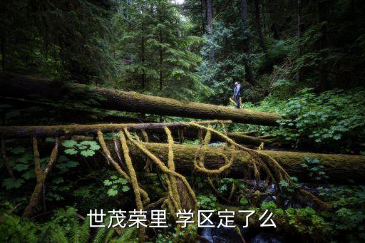 世茂荣里 学区定了么