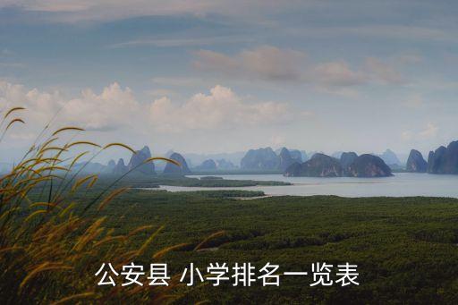 荆州市实验小学学区房,天津实验小学学区房有哪些