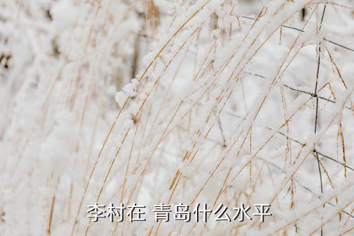  李村在 青岛什么水平