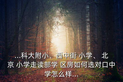 北京首师大附小学区房,北京清华附小学区房有哪些