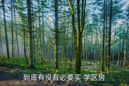 到底有没有必要买 学区房