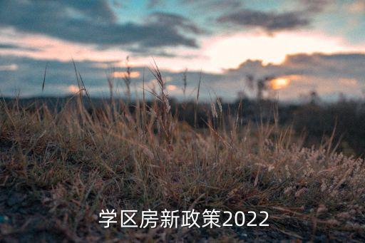 上海道小学学区房价格,滨海新区上海道小学学区房怎么划分