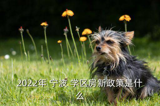 2022年 宁波 学区房新政策是什么