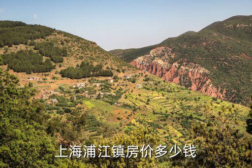 上海浦江镇房价多少钱