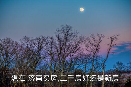 想在 济南买房,二手房好还是新房