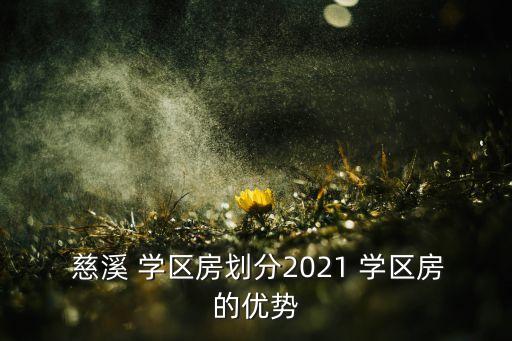  慈溪 学区房划分2021 学区房的优势