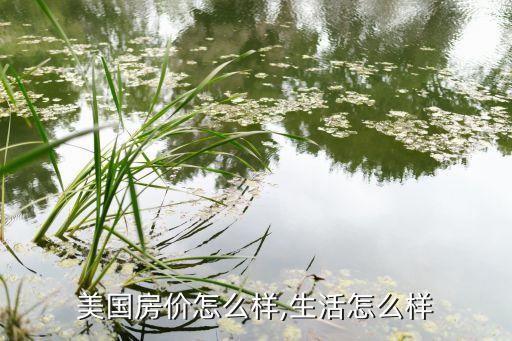 美国房价怎么样,生活怎么样