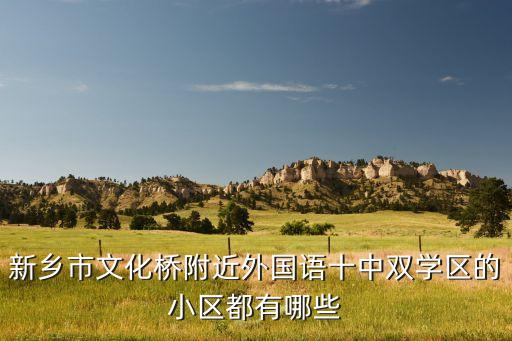新乡市文化桥附近外国语十中双学区的小区都有哪些