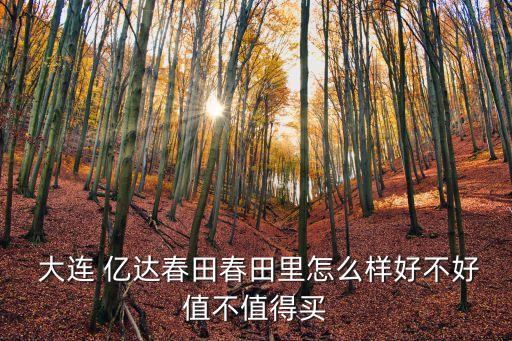 大连亿达学区房,大连学区房排名一览表