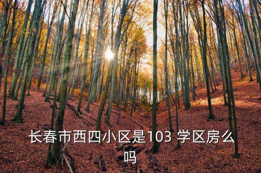  长春市西四小区是103 学区房么吗