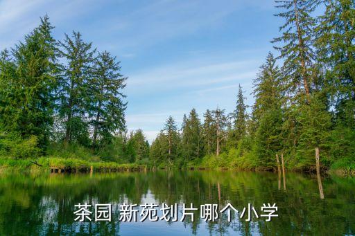 新苑小区是学区房吗,济宁邮电新苑小区学区
