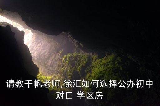 请教千帆老师,徐汇如何选择公办初中对口 学区房