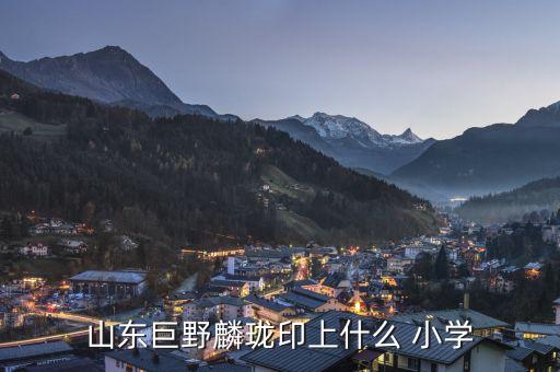 山东巨野麟珑印上什么 小学
