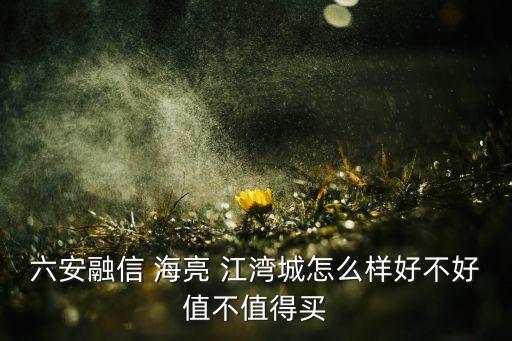 海亮江湾城是否学区房,阜阳海亮江湾城学区是