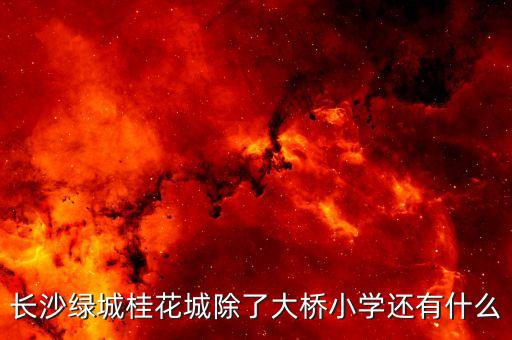 长沙绿城桂花城除了大桥小学还有什么