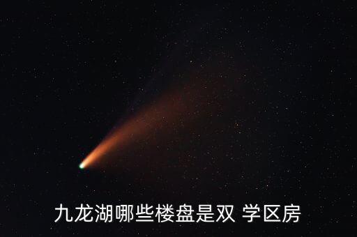 九龙湖哪些楼盘是双 学区房