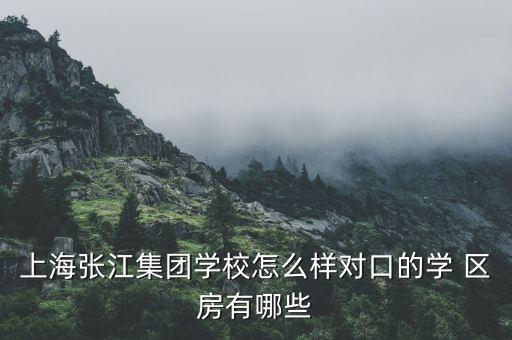 张江高科学区房