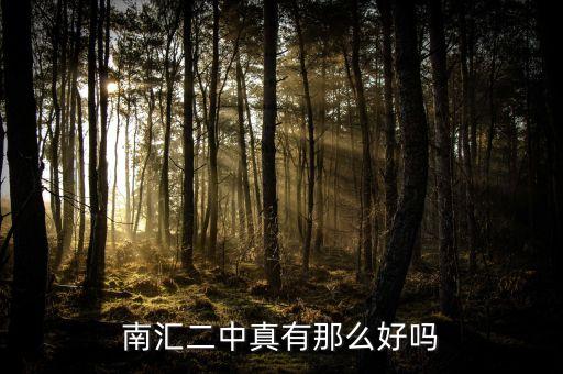 南汇二中真有那么好吗