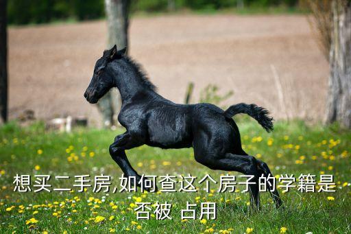 想买二手房,如何查这个房子的学籍是否被 占用