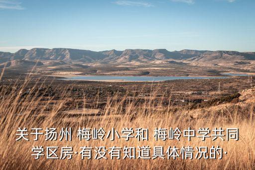关于扬州 梅岭小学和 梅岭中学共同 学区房·有没有知道具体情况的·