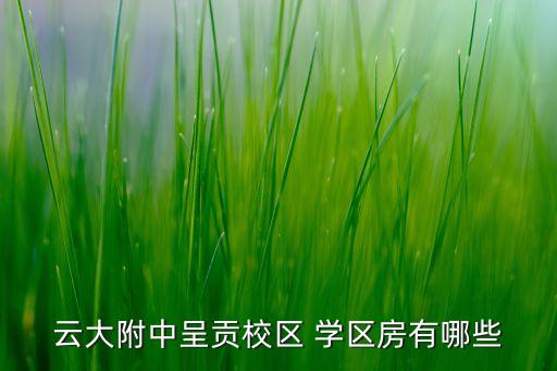 云大附中呈贡校区 学区房有哪些