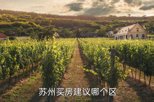 苏州有哪些好了学区房,苏州金鸡湖学区有哪些小区
