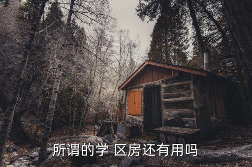 所谓的学 区房还有用吗